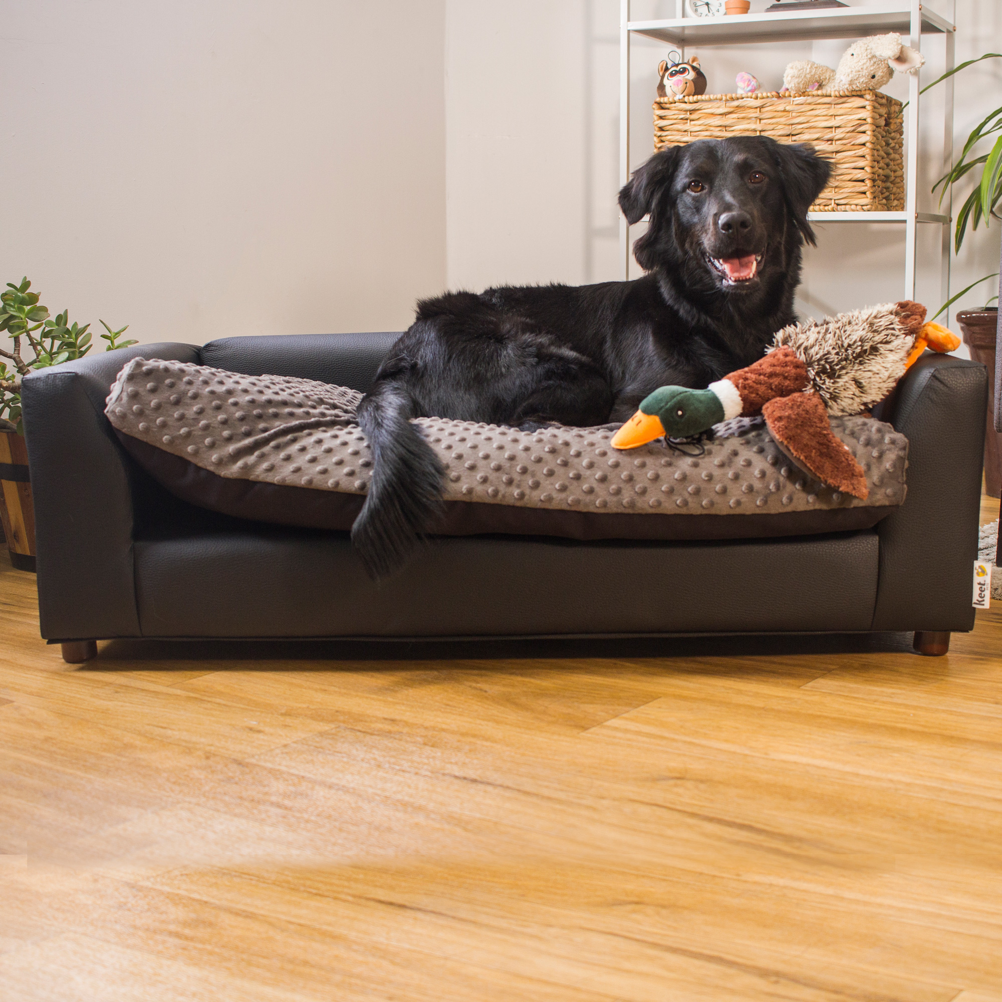 Cama Para Mascotas Con Funda Texturizada Extraible, Incluye Patas De Madera Desmontables