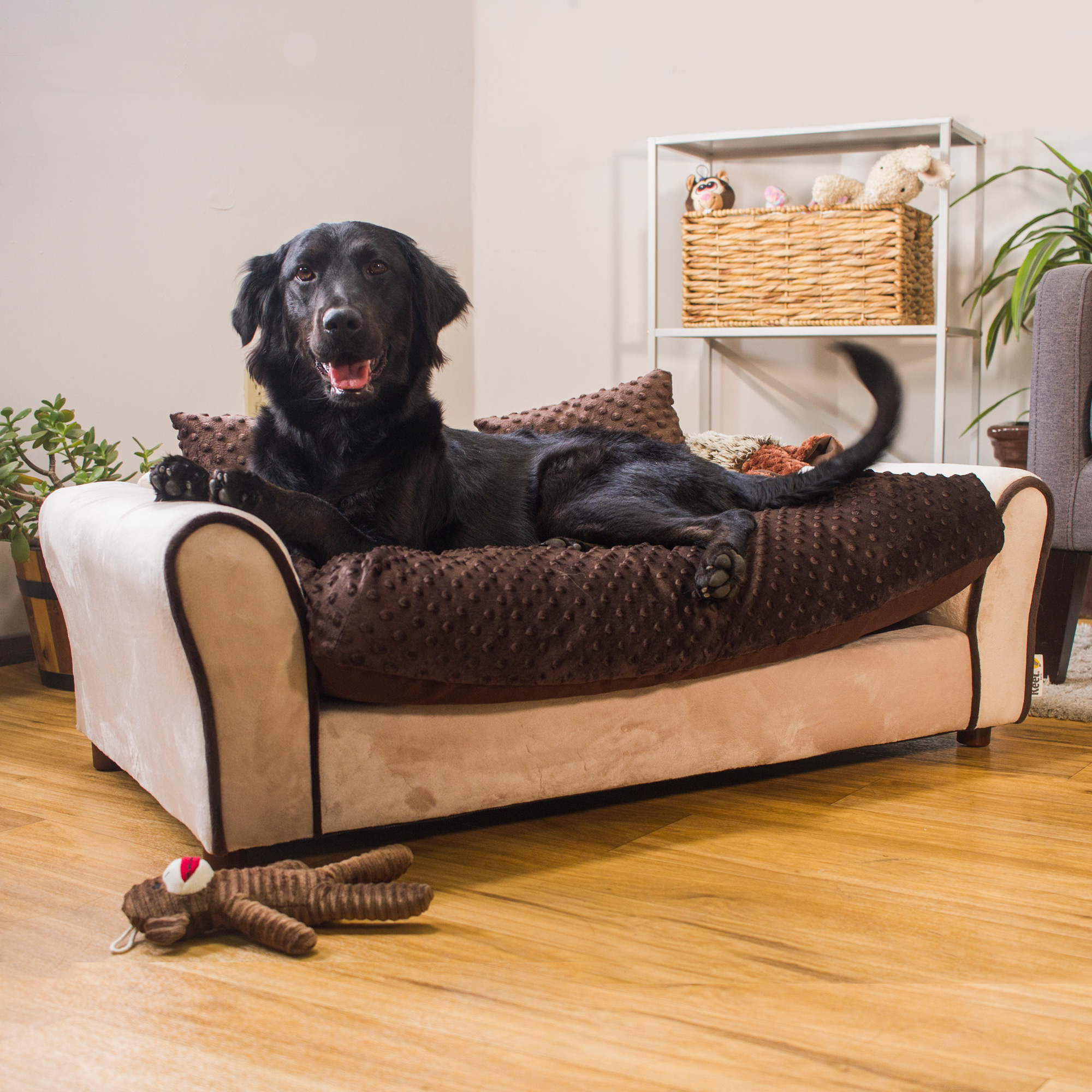 Foto 3 pulgar | Cama para Mascotas + Cojín con Funda Extraíble + 2 Almohadas con Patas de Madera Desmontables