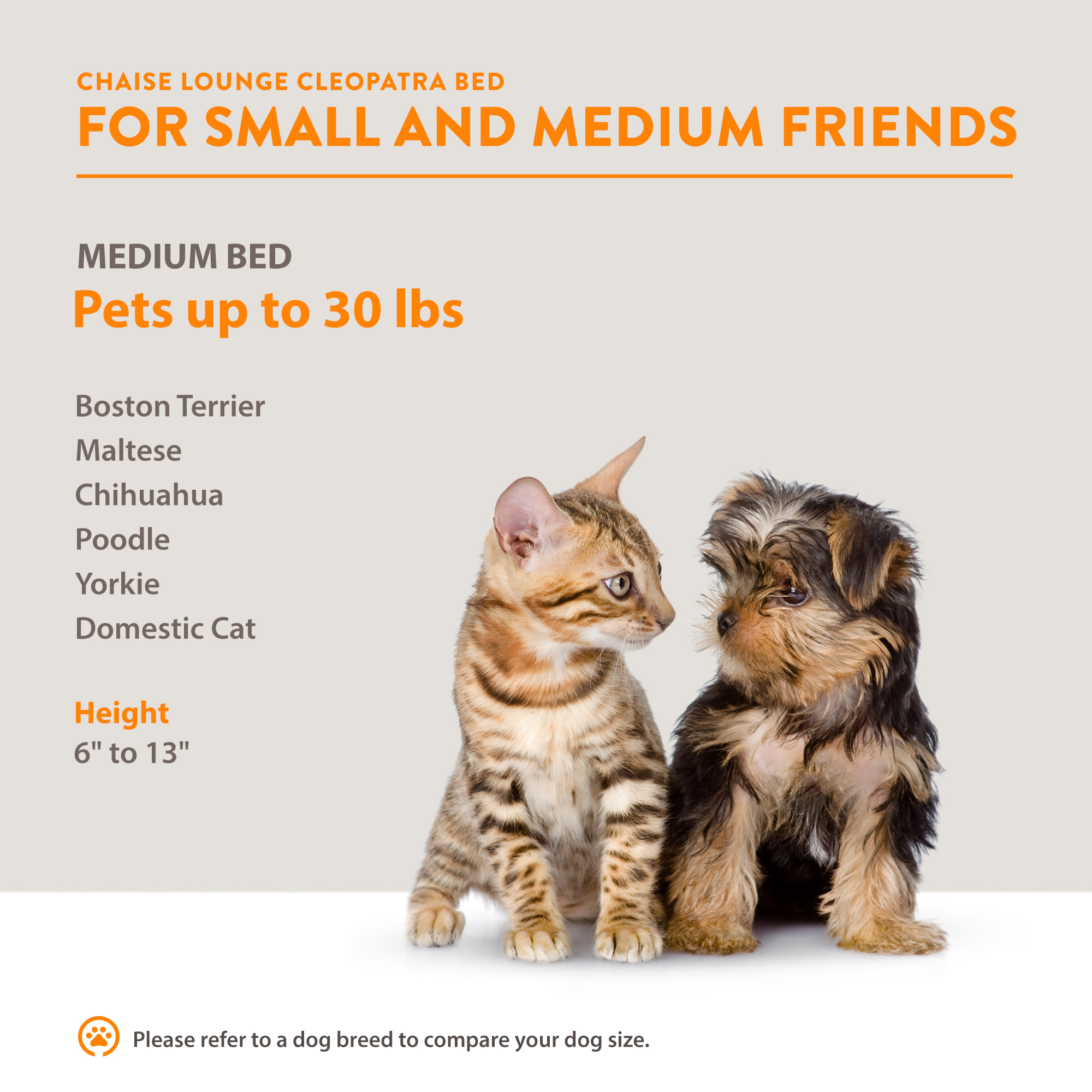 Foto 9 pulgar | Cama Para Mascotas, FUNDA EXTRAIBLE, Facil De Aspirar, Incluye Cojin, Resistente Al Agua, Patas Desmontables