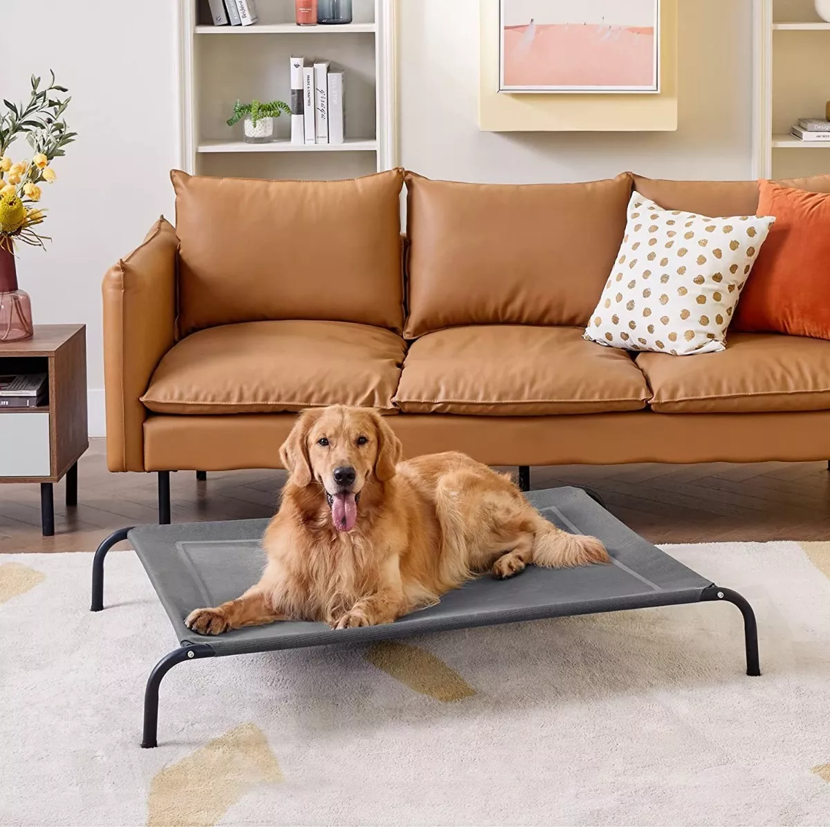 Foto 4 pulgar | Cama Elevada Para Perros Gato Y Mascotas Grande Eo Safe Imports Esi-18542 Gris