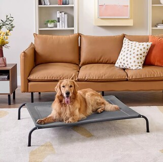 Foto 3 | Cama Elevada Para Perros Gato Y Mascotas Grande Eo Safe Imports Esi-18542 Gris