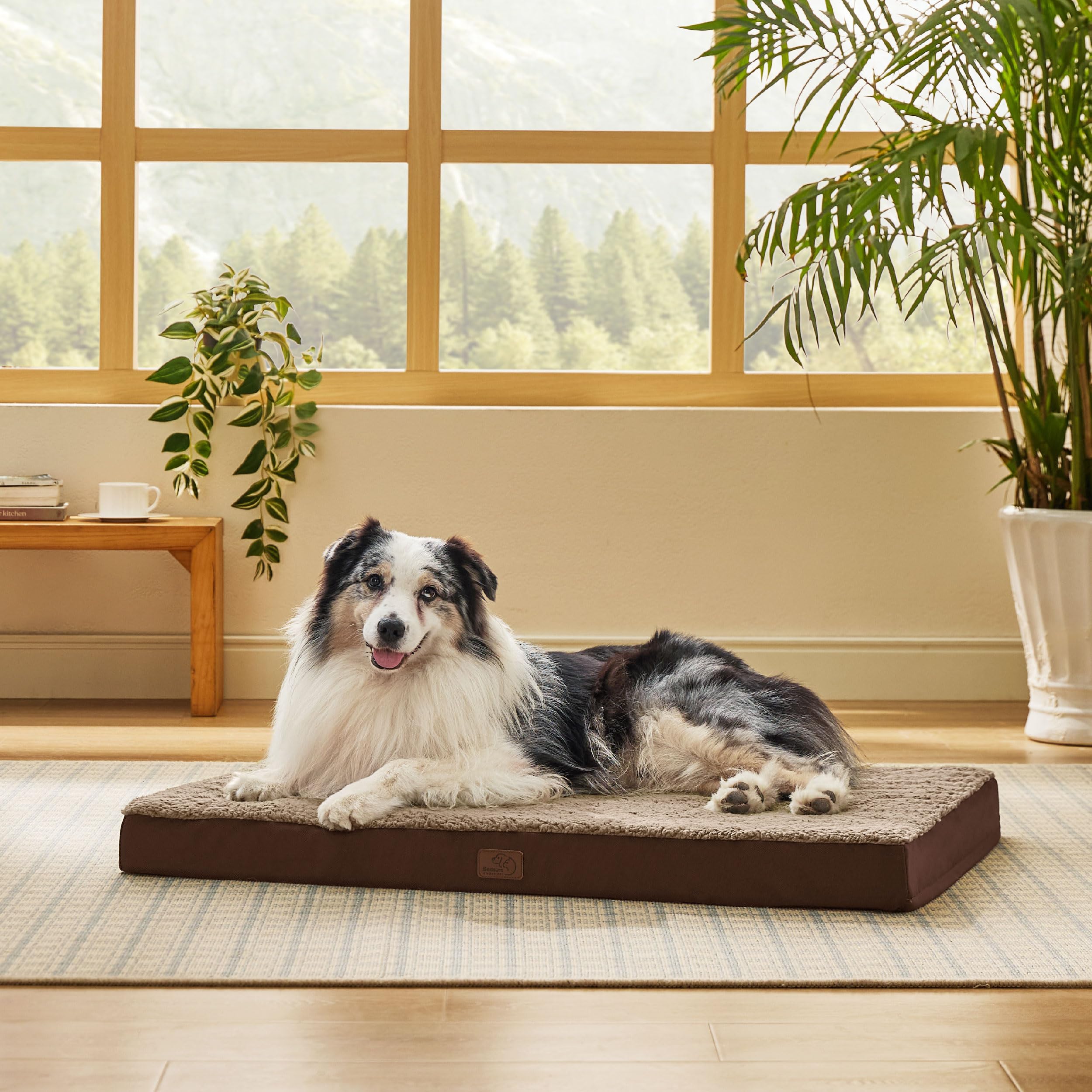 Foto 3 pulgar | Cama Ortopédica Grande Para Perros, Impermeable, Para Jaula, 40 Kg - Venta Internacional.