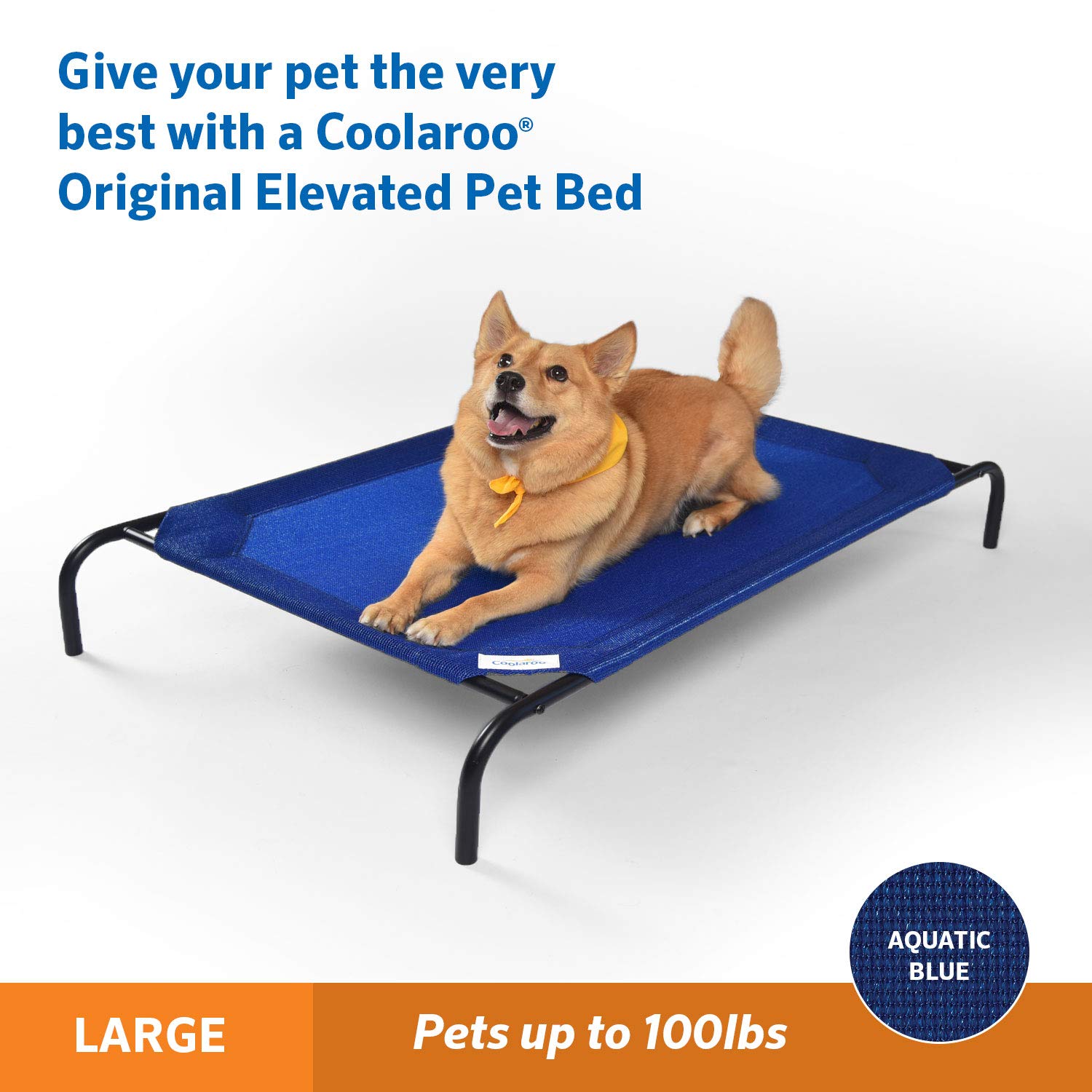Foto 3 pulgar | Cama Coolaroo Coolaroo Elevated Para Perros, Grande, Azul Acuático - Venta Internacional.