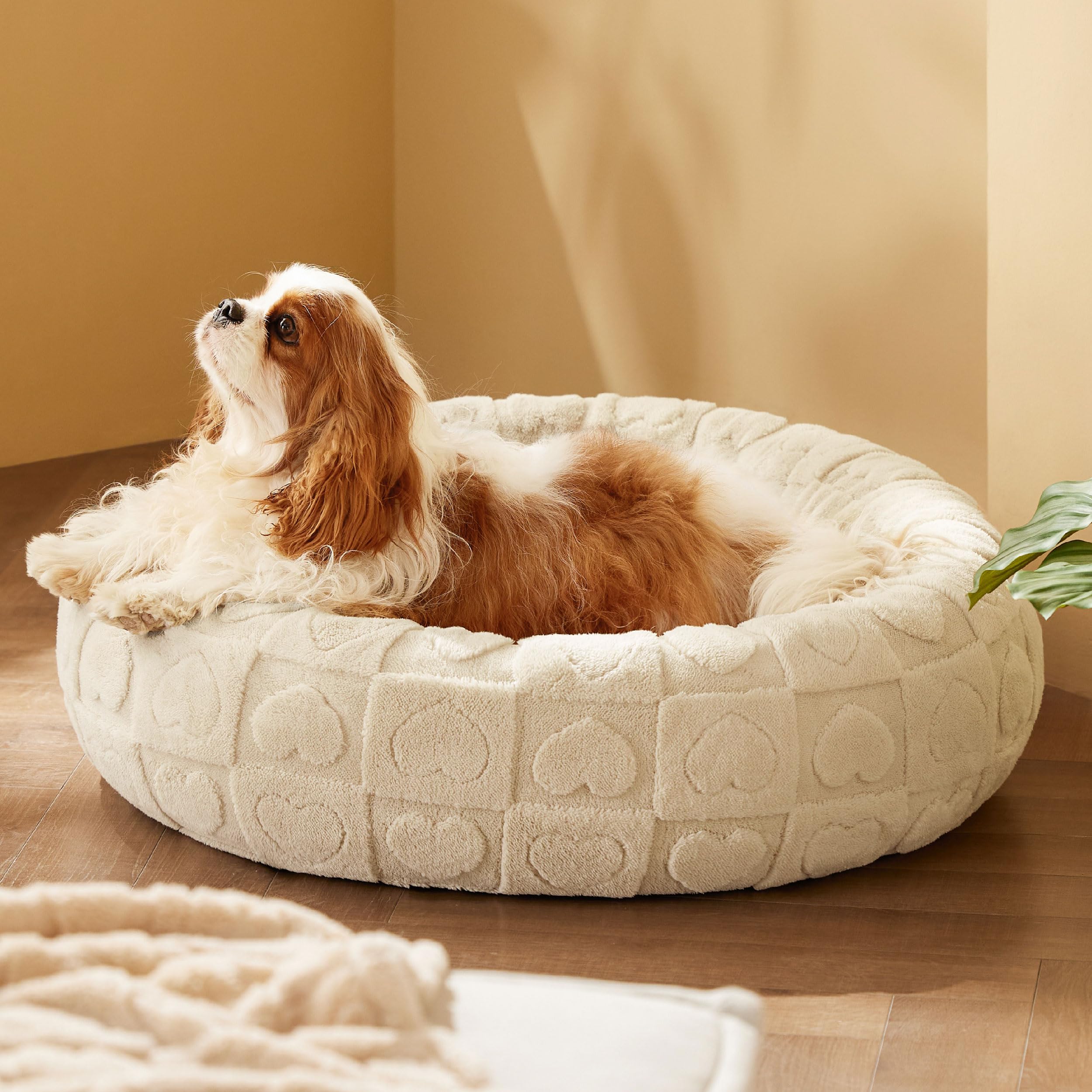 Foto 2 pulgar | Cama Para Perros Bedsure Donut Para Perros Medianos Con Funda Lavable - Venta Internacional.