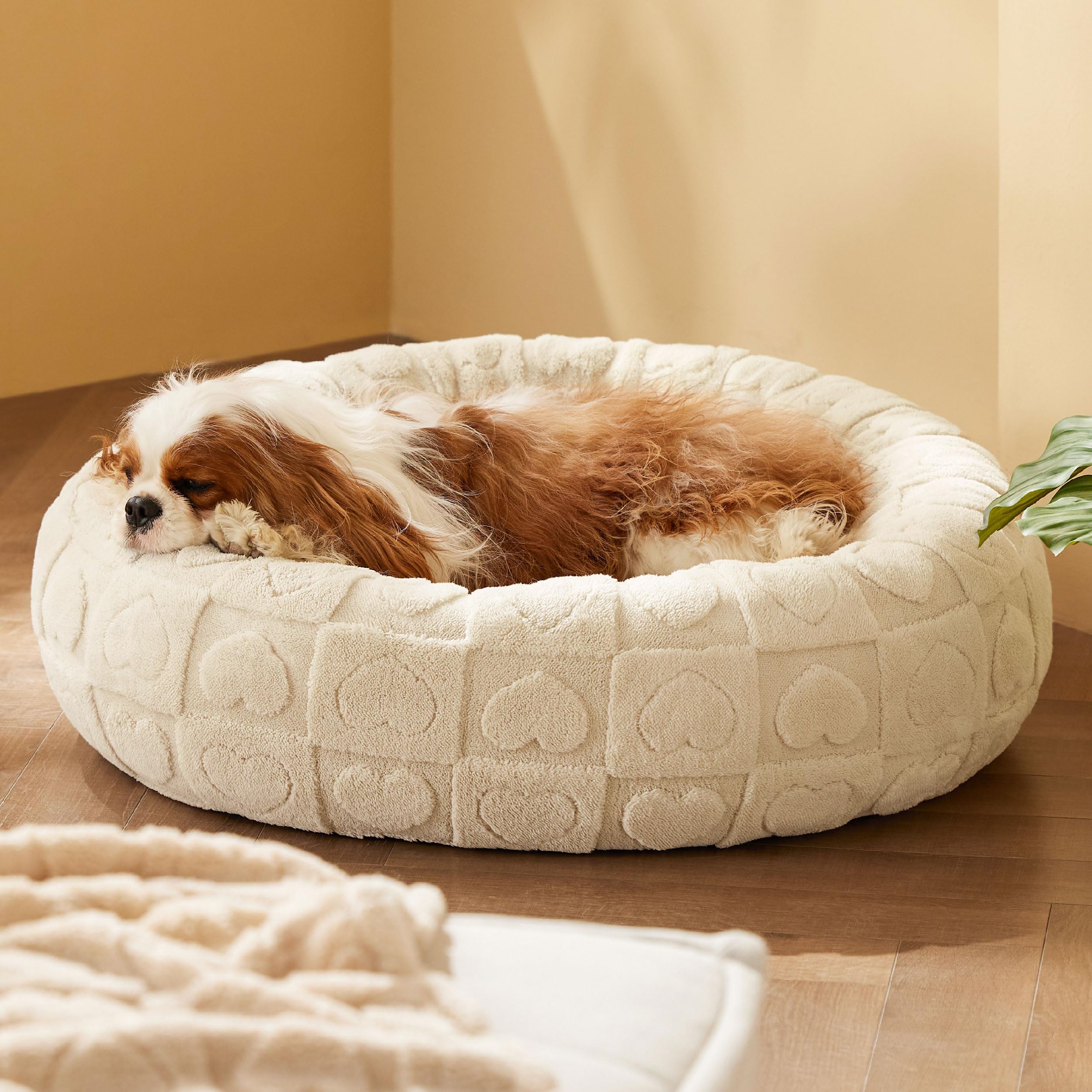 Foto 8 pulgar | Cama Para Perros Bedsure Donut Para Perros Medianos Con Funda Lavable - Venta Internacional.