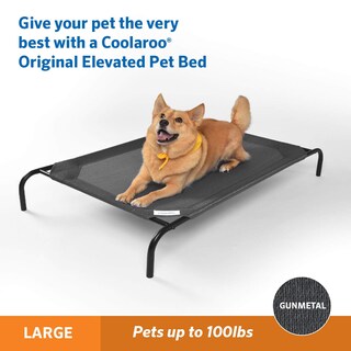 Foto 2 | Cama Refrescante Para Perros Y Gatos Coolaroo, Tamaño Grande, Color Bronce - Venta Internacional.
