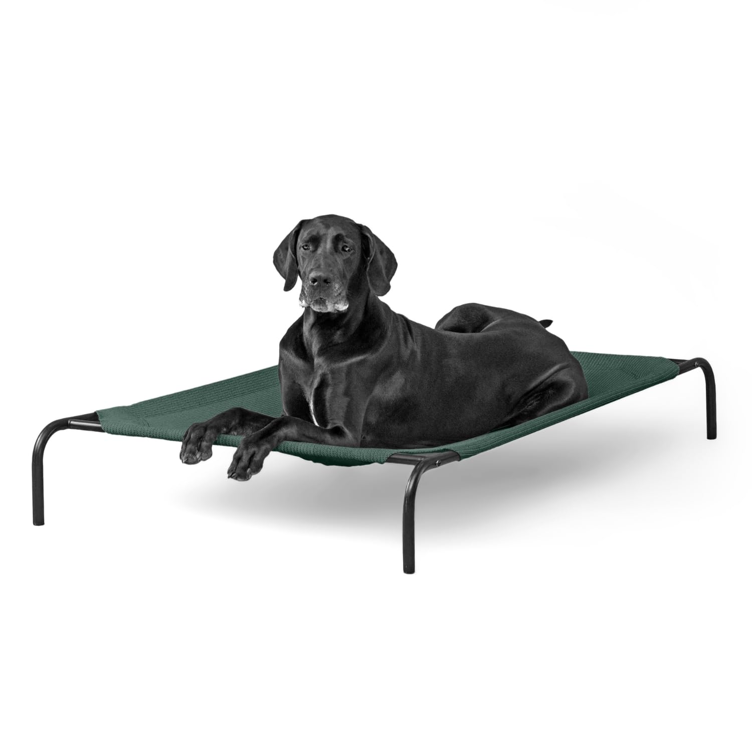 Cama Para Mascotas Coolaroo Original Elevated, Extra Grande, Verde - Venta Internacional.