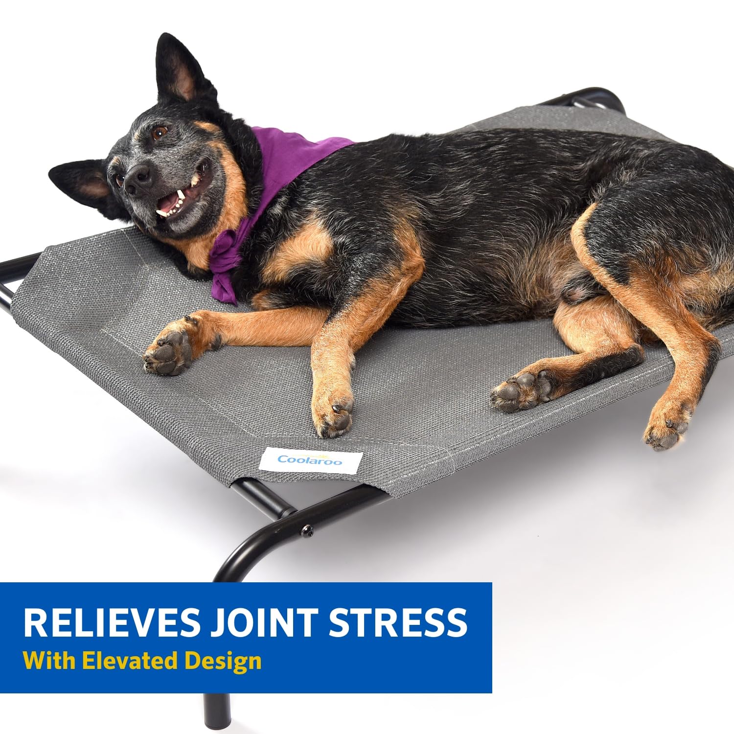 Foto 4 pulgar | Cama Para Mascotas Coolaroo Original Elevated, Extra Grande, Verde - Venta Internacional.