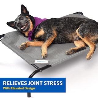 Foto 3 | Cama Para Mascotas Coolaroo Original Elevated, Extra Grande, Verde - Venta Internacional.