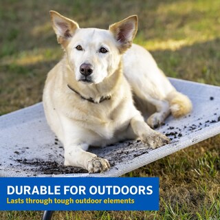 Foto 4 | Cama Para Mascotas Coolaroo Original Elevated, Extra Grande, Verde - Venta Internacional.