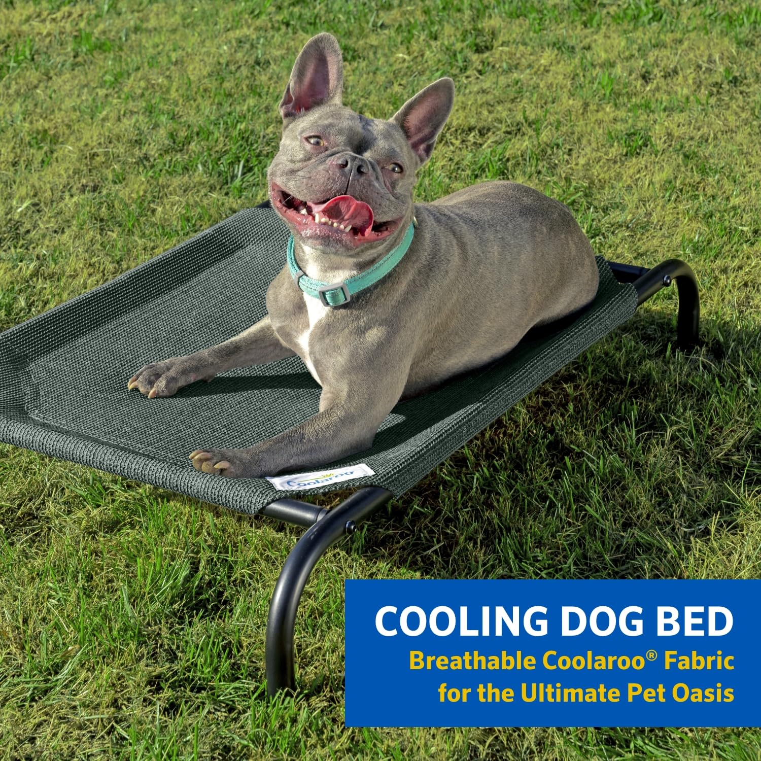 Foto 3 pulgar | Cama Para Mascotas Coolaroo Original Elevated Extra Grande, Gris - Venta Internacional.