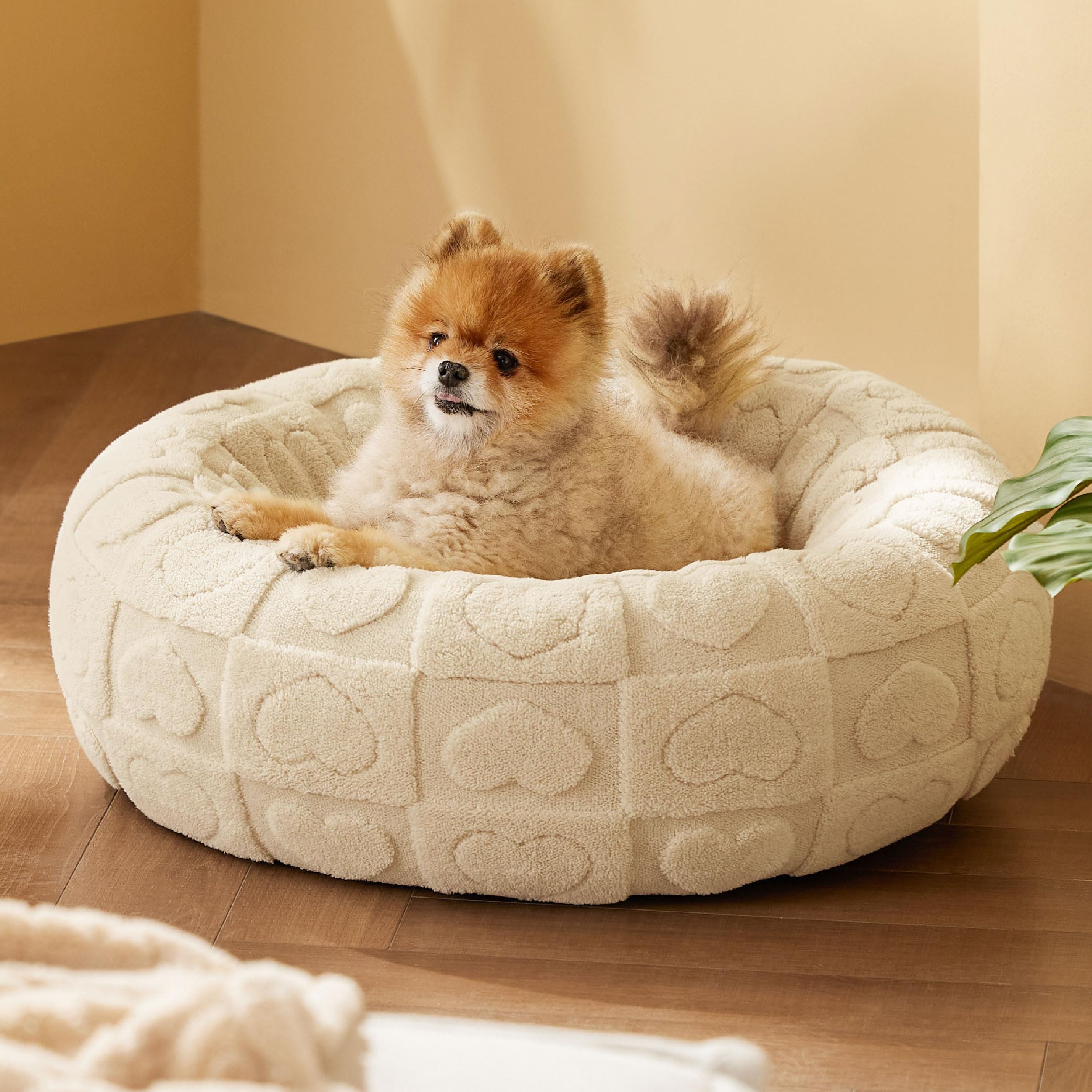 Foto 2 pulgar | Cama Para Perro Bedsure Donut Para Perros Pequeños, Crema Para Cachorros Y Gatitos - Venta Internacional.
