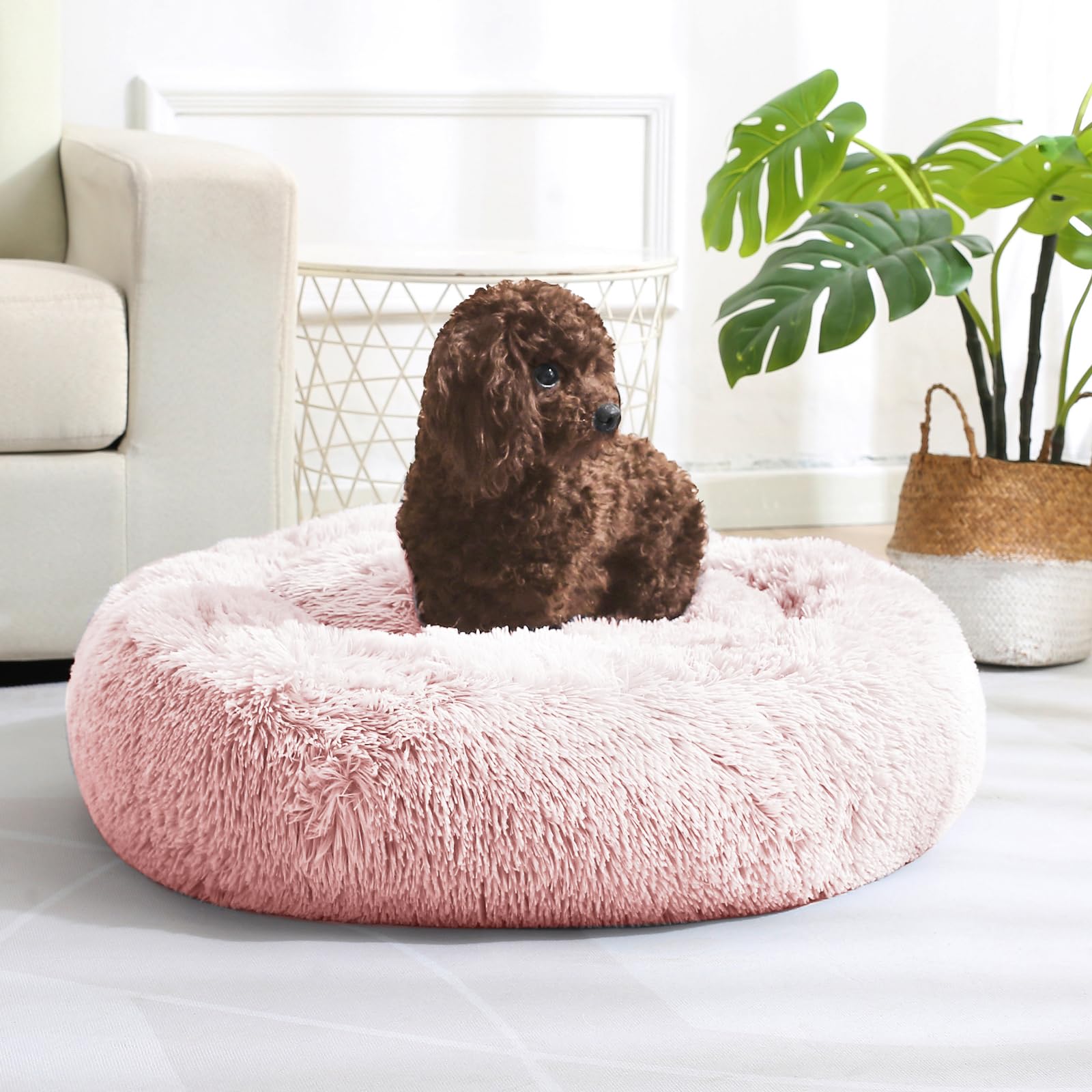 Foto 2 pulgar | Cama Calmante Contra La Ansiedad Para Perros Y Gatos Jollyvogue Para Mascotas Pequeñas - Venta Internacional.