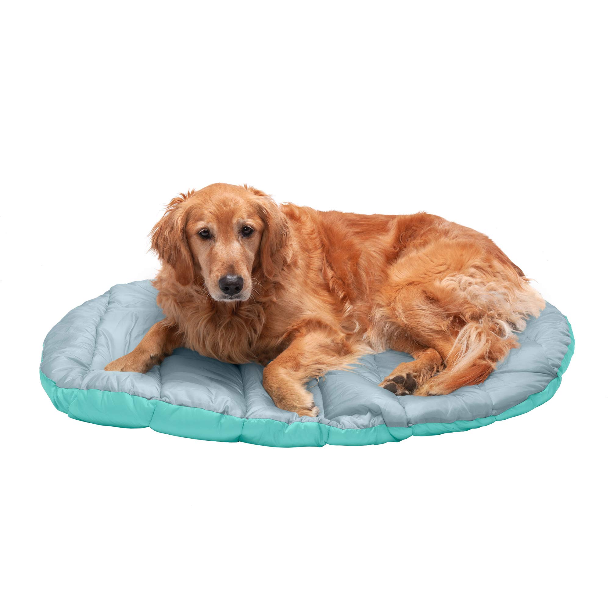 Foto 4 pulgar | Cama Para Perros Furhaven Trail Pup Para Viajes Al Aire Libre, Color Aguamarina Y Gris, Grande - Venta Internacional.