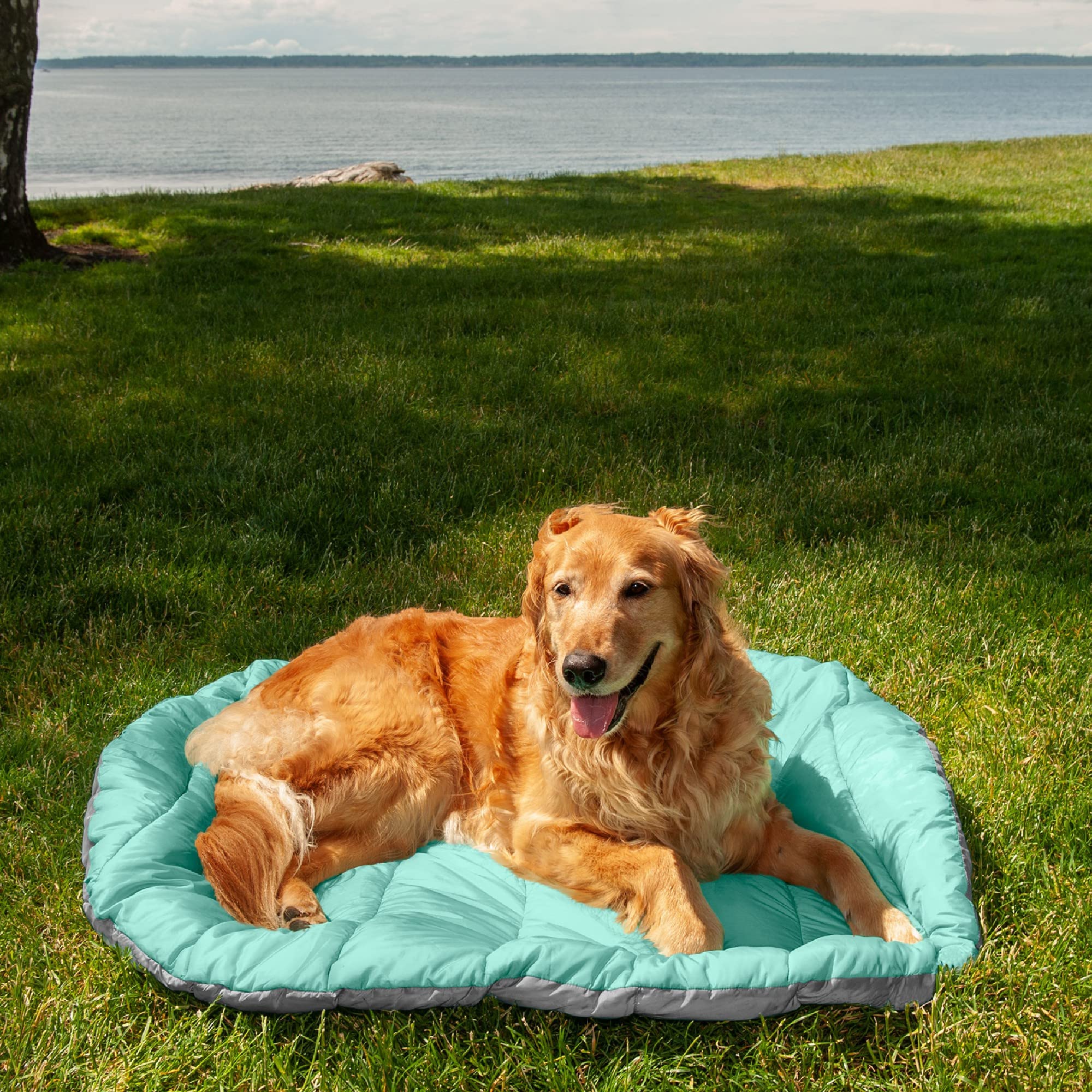 Foto 6 pulgar | Cama Para Perros Furhaven Trail Pup Para Viajes Al Aire Libre, Color Aguamarina Y Gris, Grande - Venta Internacional.