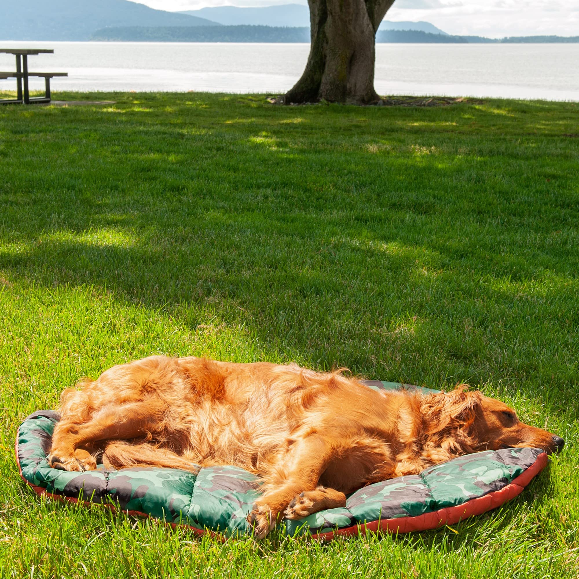 Foto 6 pulgar | Cama Para Perros De Viaje Al Aire Libre Furhaven Trail Pup Para Perros Grandes - Venta Internacional.