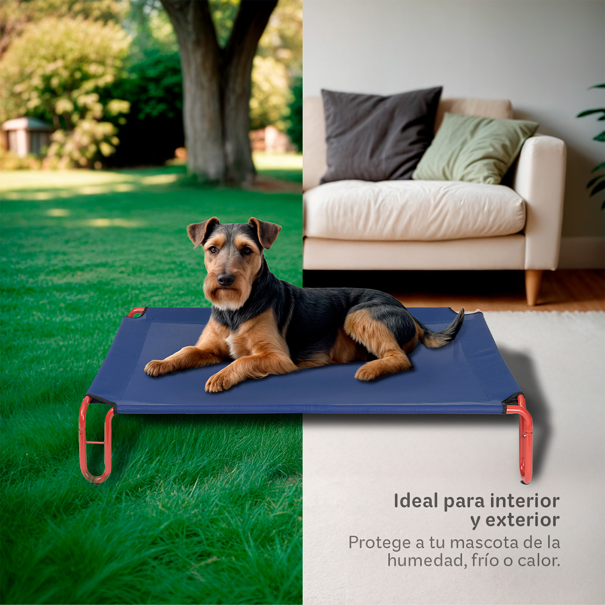 Foto 3 pulgar | Cama Elevada Para Perro, Mascotas Esquimal Chica Azul - Rojo Con Malla Transpirable