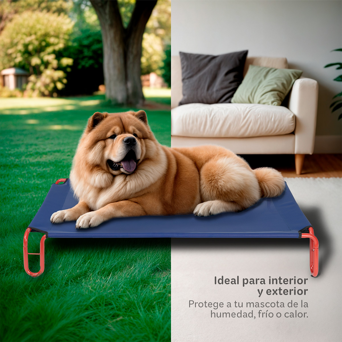 Foto 3 pulgar | Cama Elevada Para Perro, Mascotas Esquimal Mediana Azul - Rojo Con Malla Transpirable