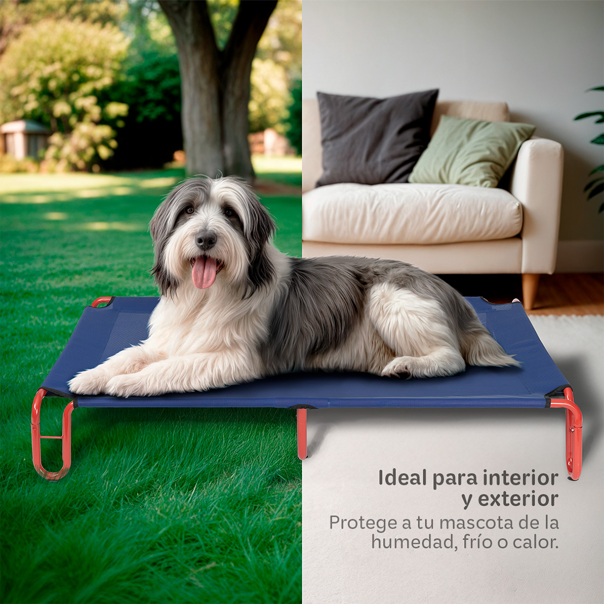 Foto 3 pulgar | Cama Elevada Para Perro, Mascotas Esquimal Grande Azul - Rojo Con Malla Transpirable