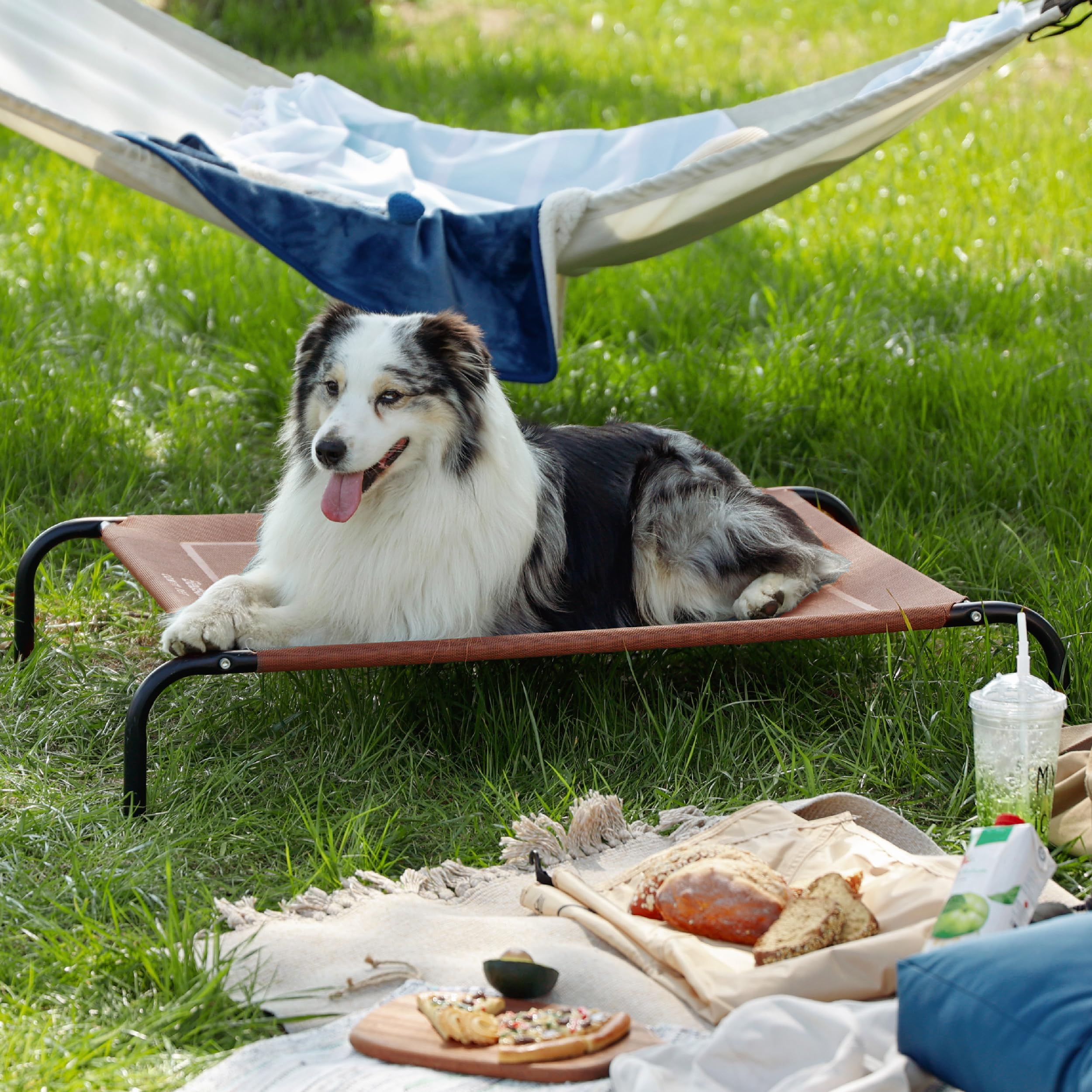 Foto 6 pulgar | Cama Para Perros Bedsure Xl Elevated Outdoor Para Perros Extra Grandes - Venta Internacional.