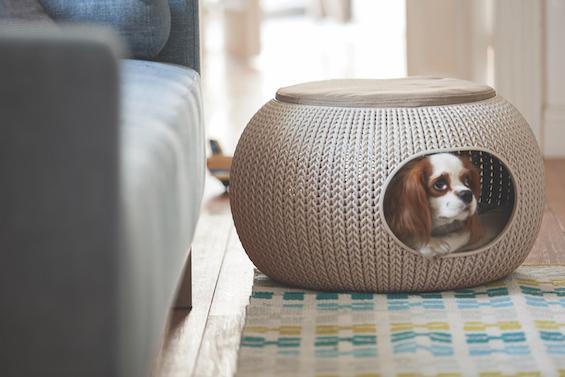 Foto 3 pulgar | Casa Para Mascotas Cozy Marca Curver
