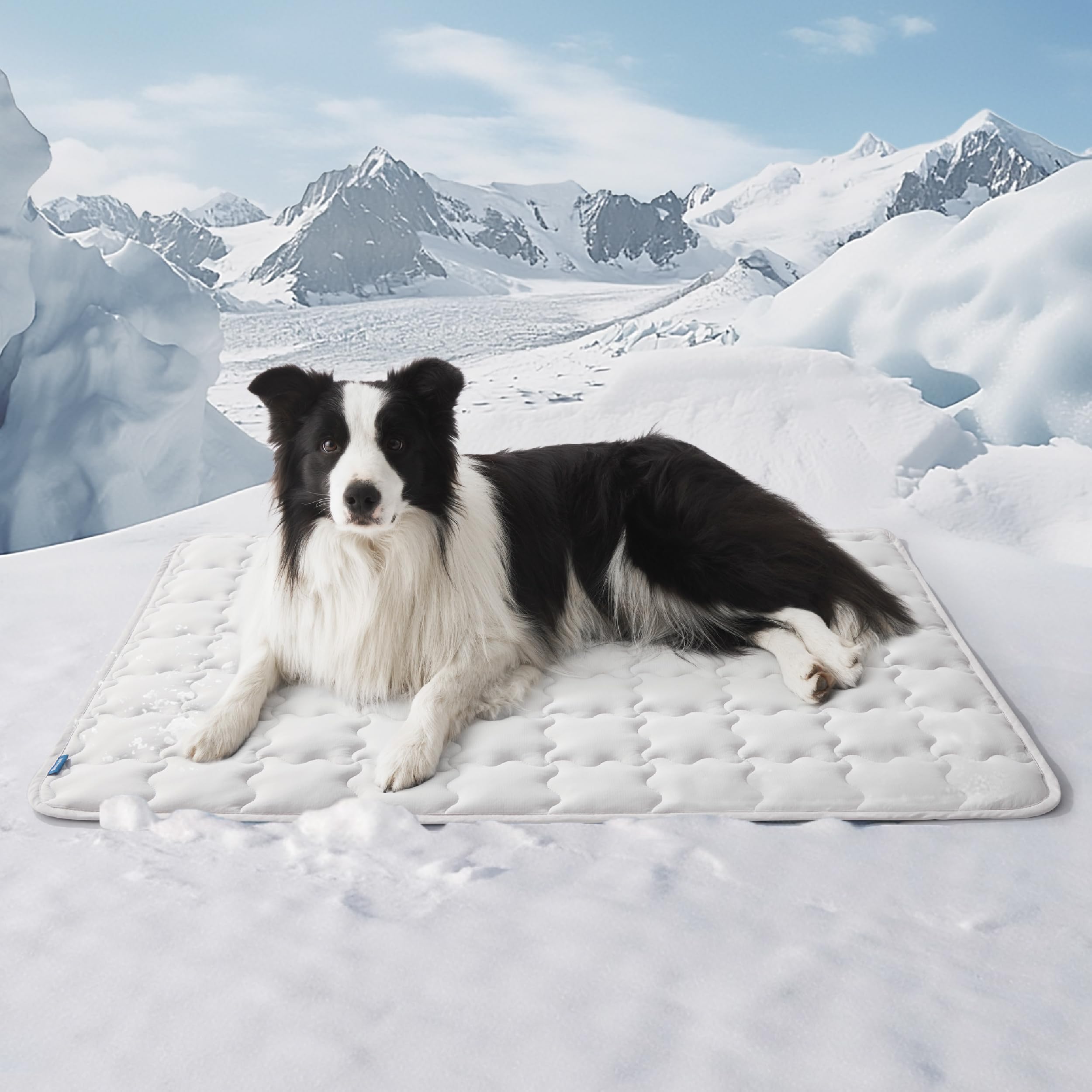 Colcha Refrescante Para Perros Grandes, 41 X 28 Cm, Lavable - Venta Internacional.