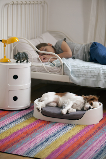 Foto 4 | Casa, Transportadora Y Camas (3 En 1)  Para Mascotas Marca Curver