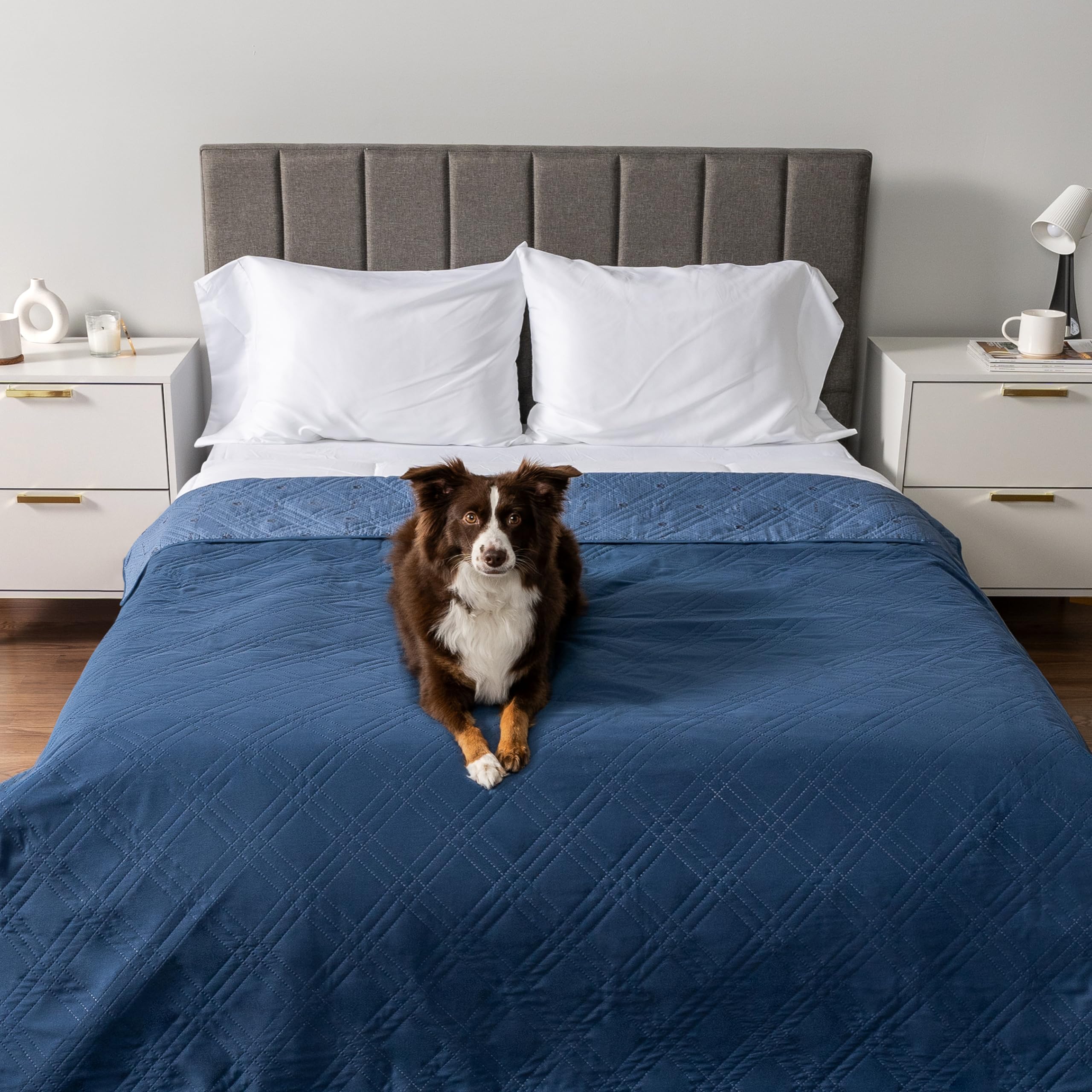 Foto 3 pulgar | Funda De Cama Impermeable Para Perros Petami 102x82 Azul - Venta Internacional.