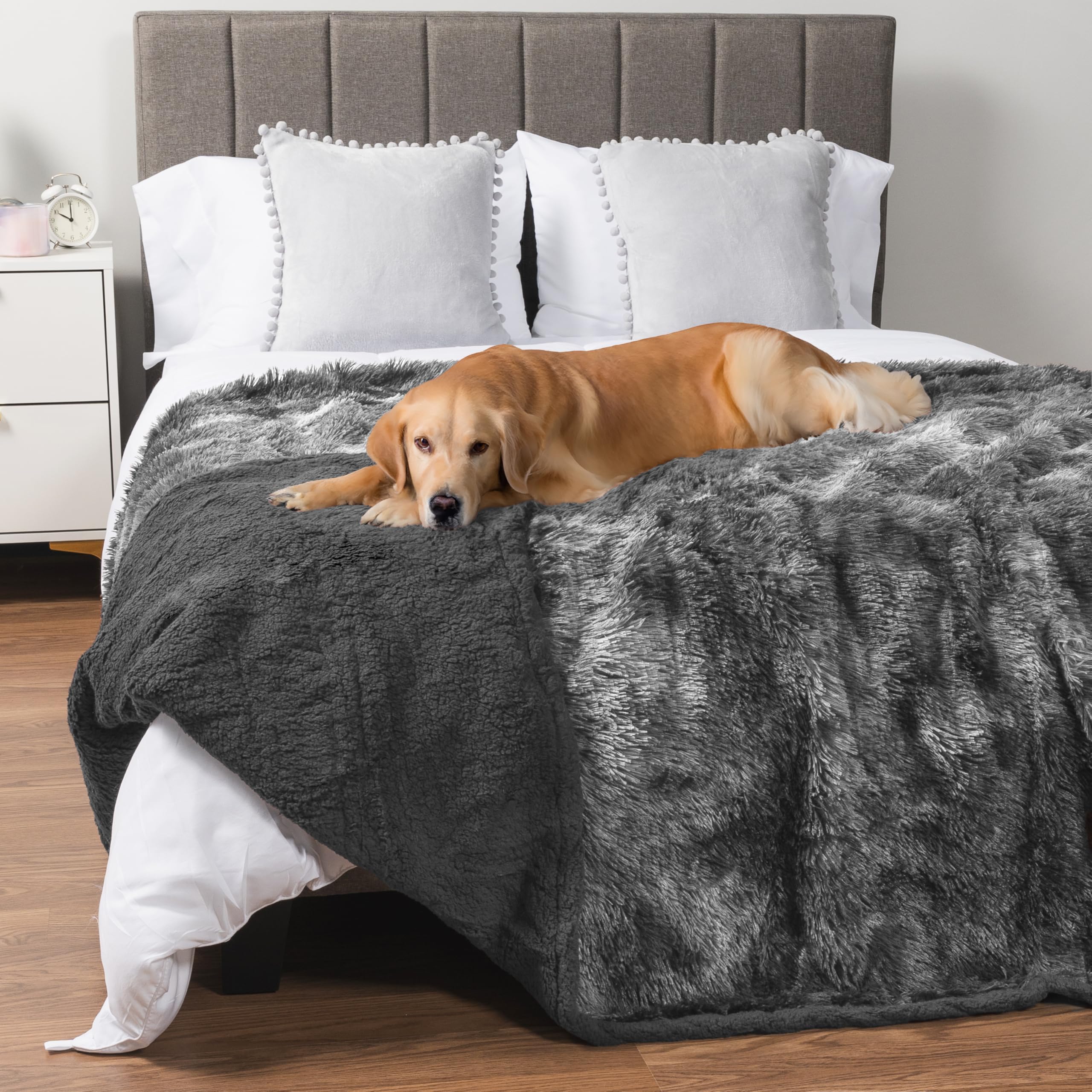Foto 1 | Manta Impermeable Petami Para Perro Grande 60 X 80 Cm - Venta Internacional.