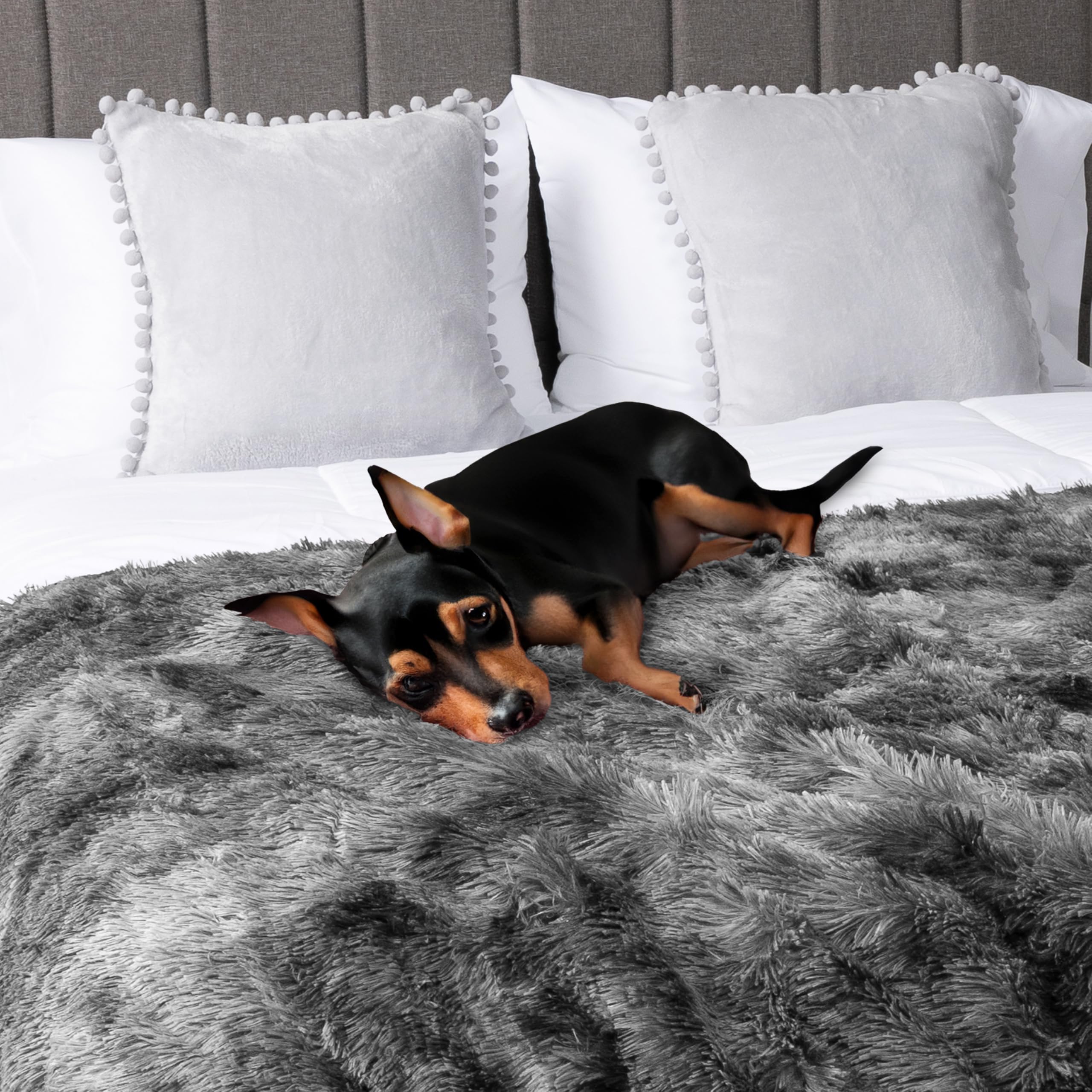 Foto 7 pulgar | Manta Impermeable Petami Para Perro Grande 60 X 80 Cm - Venta Internacional.