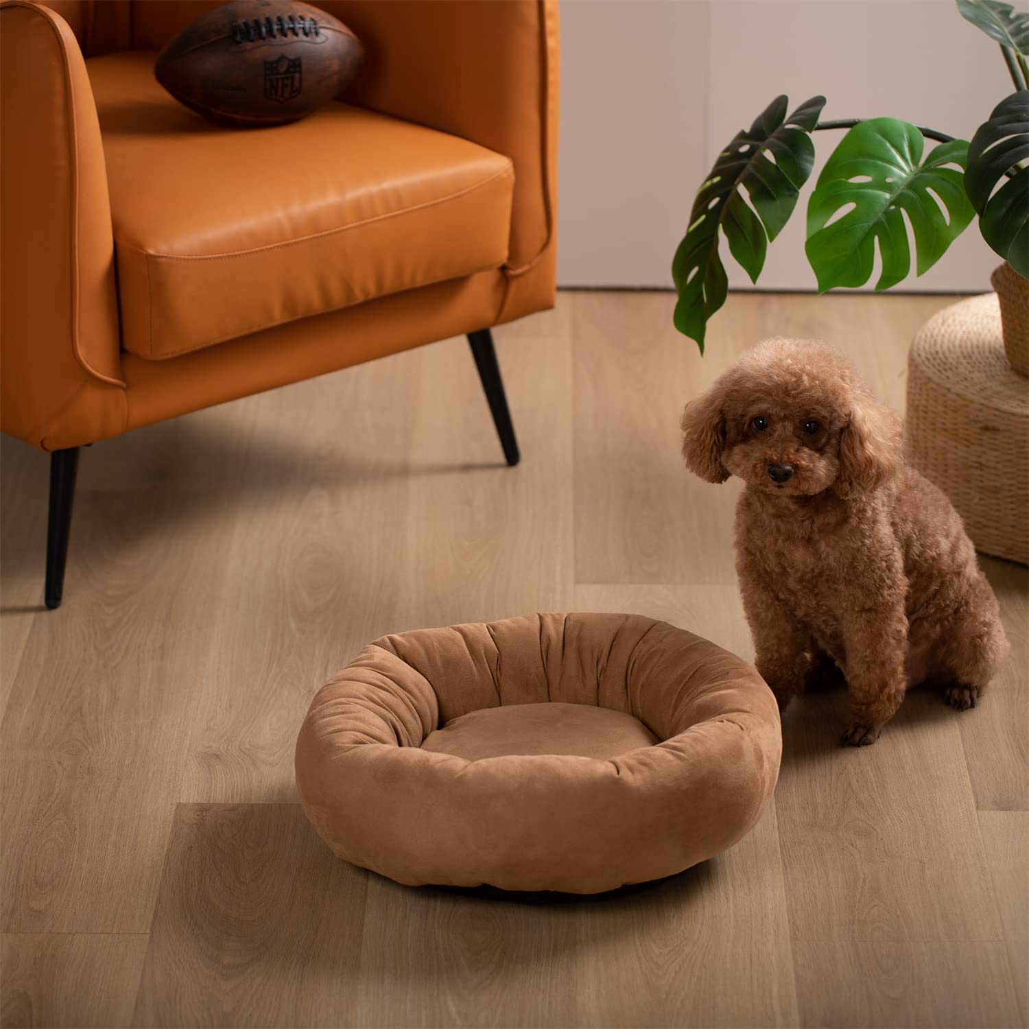 Foto 2 pulgar | Cama Para Perros Kasentex Redonda Con Forma De Rosquilla Antideslizante, Lavable A Máquina - Venta Internacional.