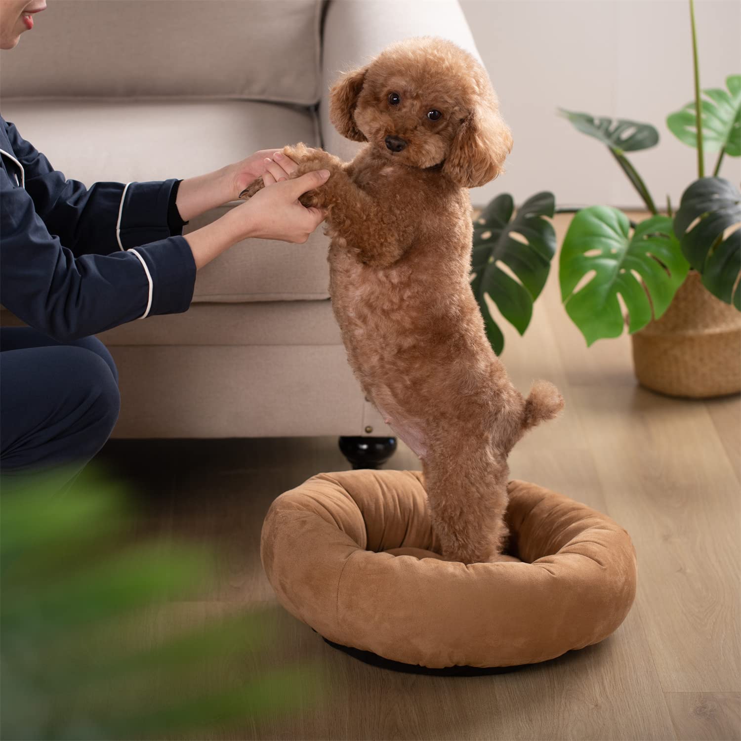 Foto 3 pulgar | Cama Para Perros Kasentex Redonda Con Forma De Rosquilla Antideslizante, Lavable A Máquina - Venta Internacional.