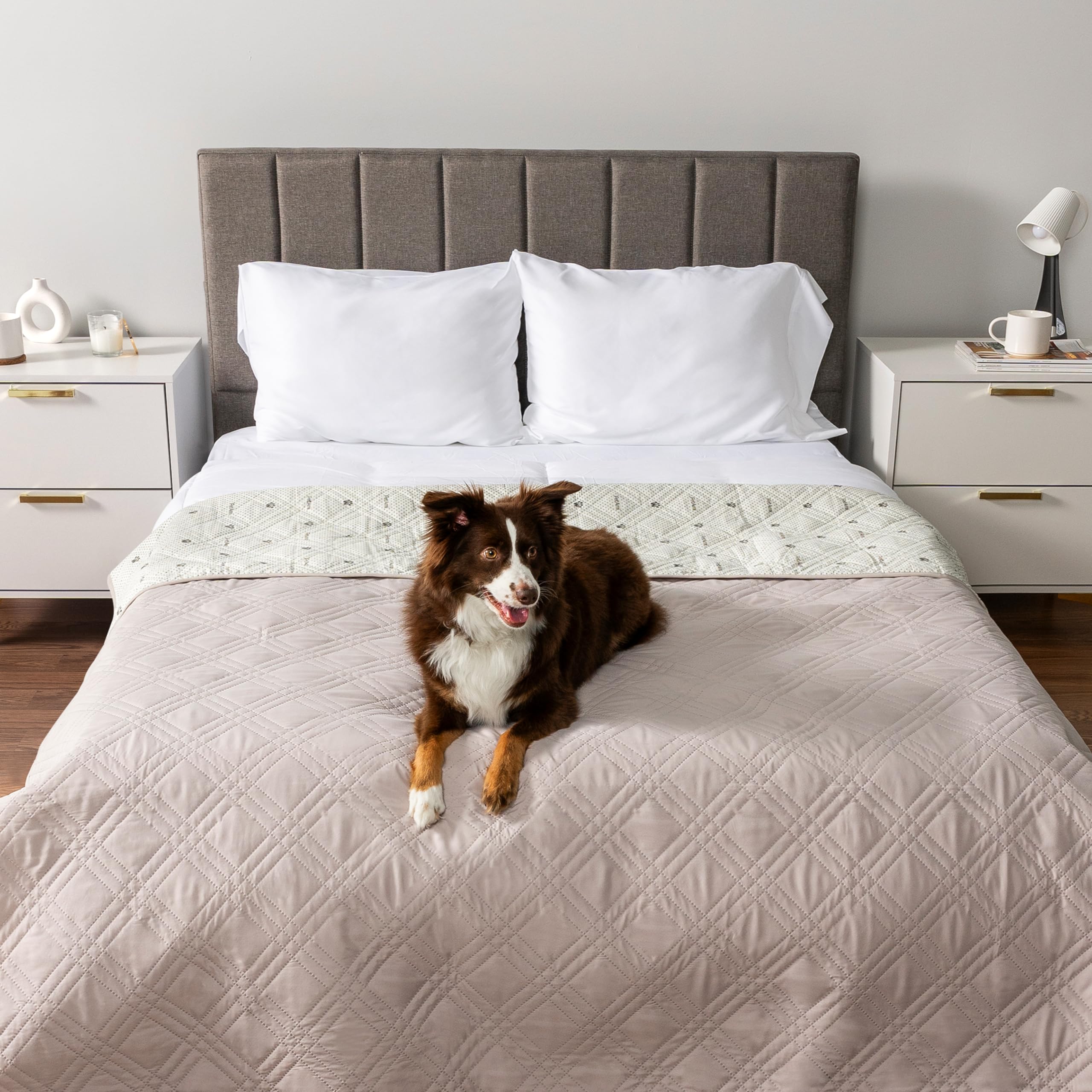 Foto 3 pulgar | Funda De Cama Impermeable Para Perros Petami 102 X 82 Cm, Color Beige - Venta Internacional.