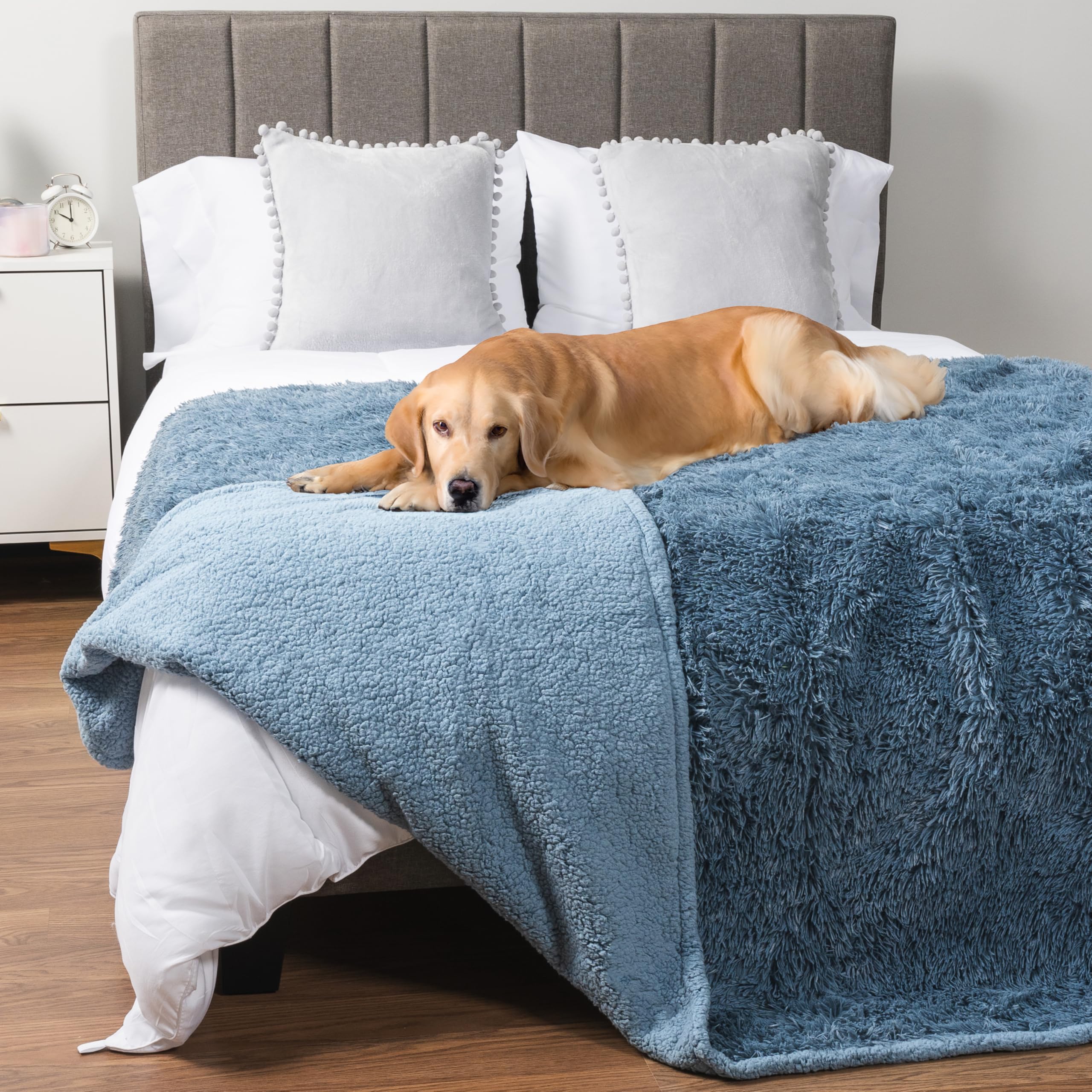 Foto 1 | Manta Impermeable Para Perros Petami Para Perros Grandes, 60 X 80 Cm, Color Azul Claro - Venta Internacional.