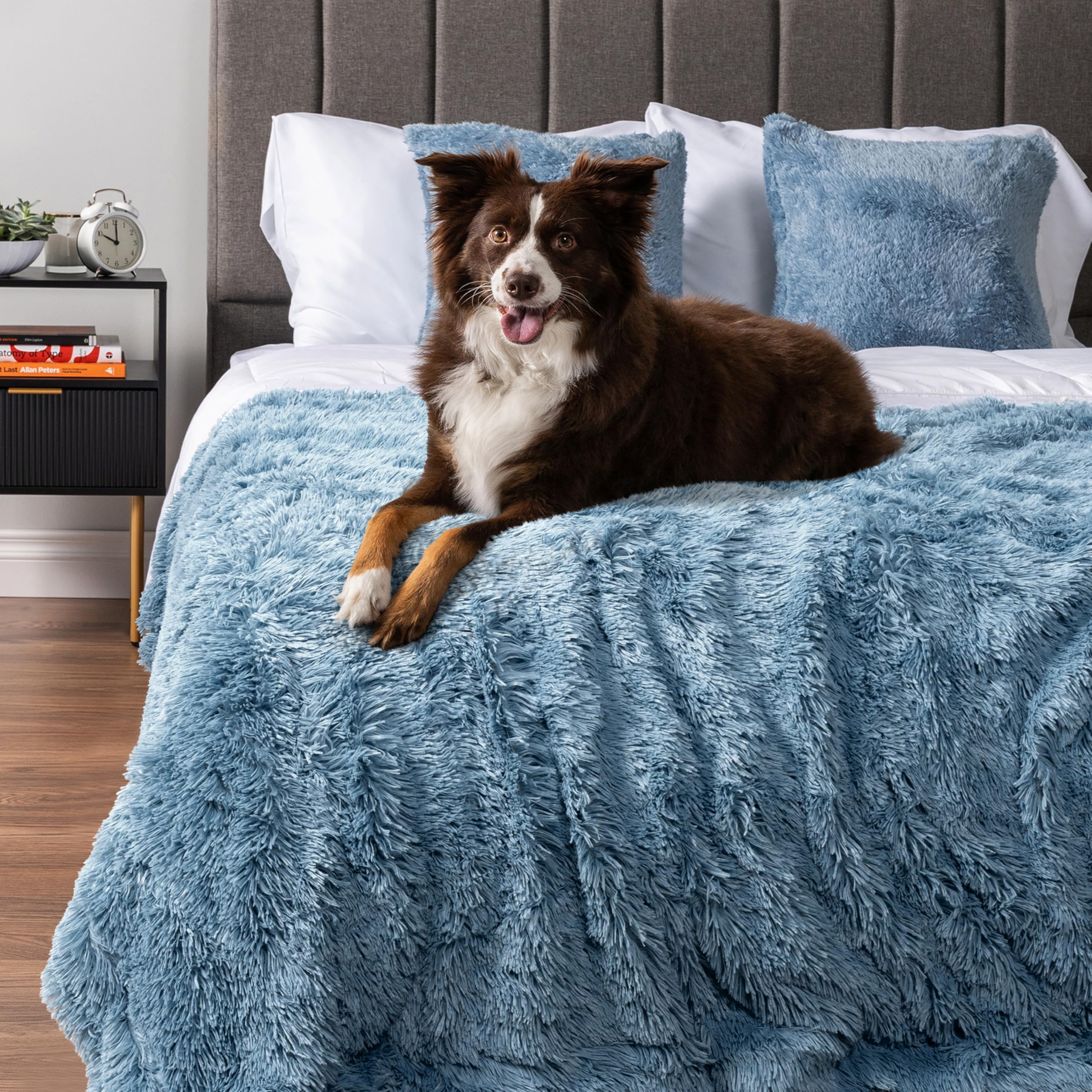 Foto 7 | Manta Impermeable Para Perros Petami Para Perros Grandes, 60 X 80 Cm, Color Azul Claro - Venta Internacional.