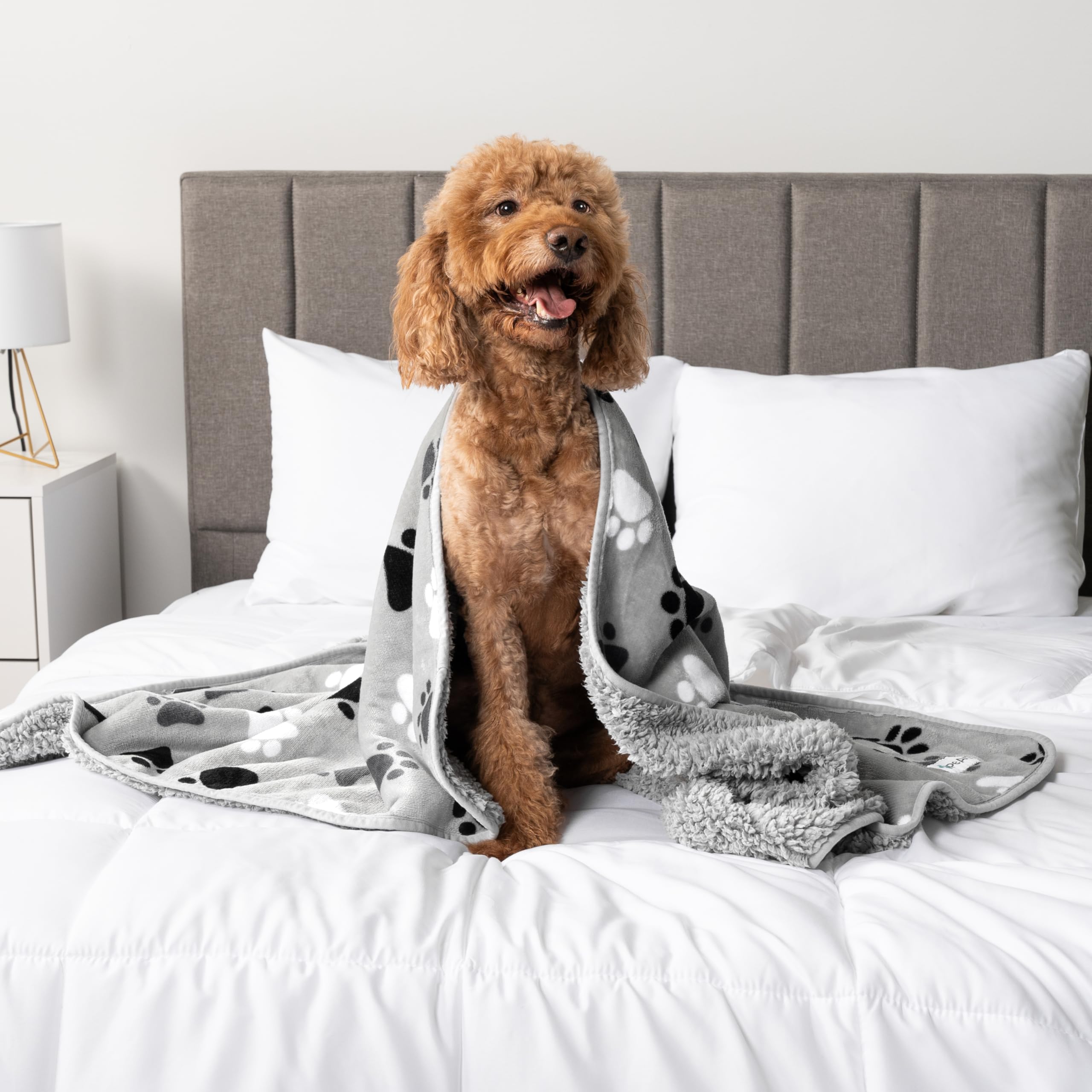Foto 4 | Manta Impermeable Para Perros Petami Para Perros Medianos Y Grandes, 40 X 60 Cm - Venta Internacional.