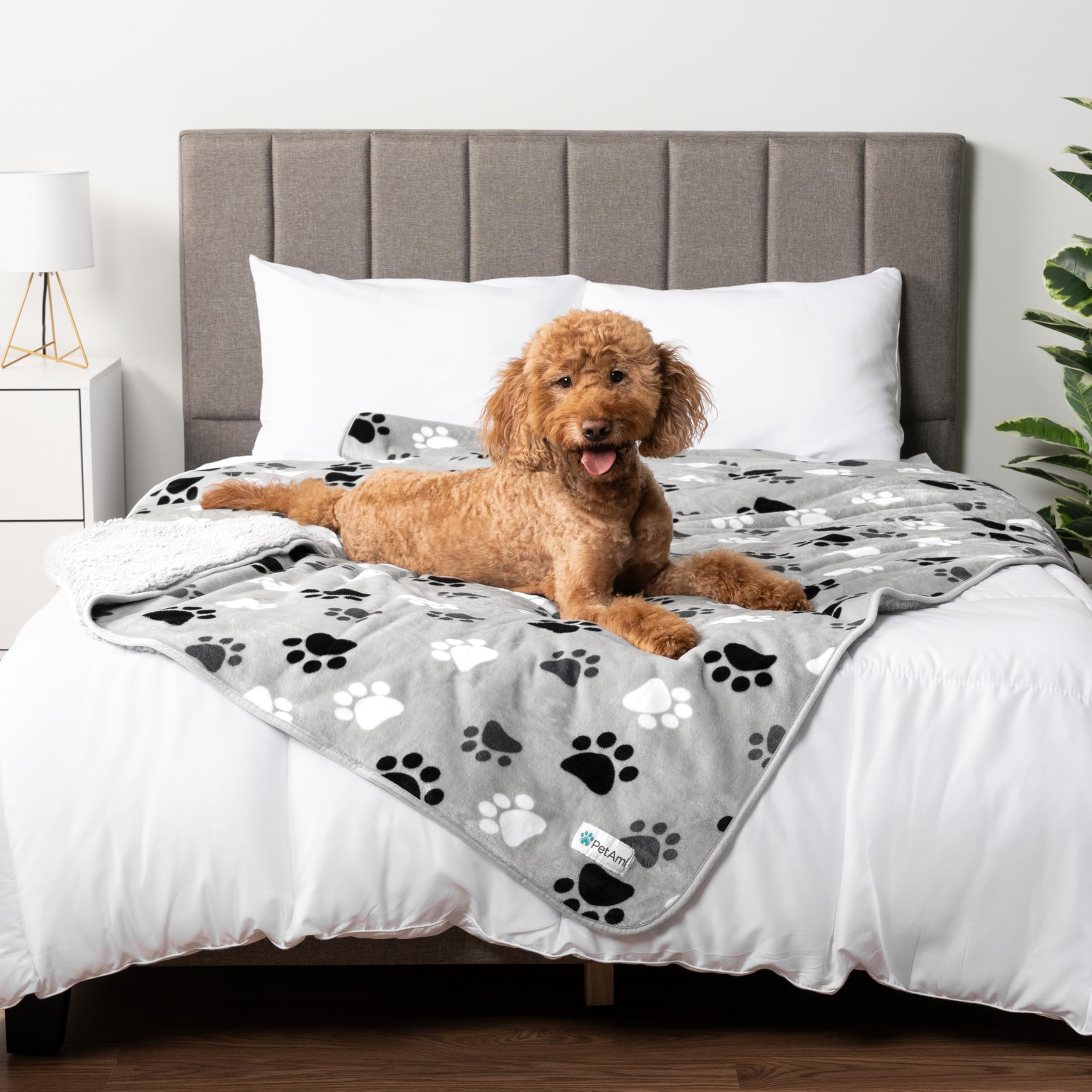 Foto 6 | Manta Impermeable Para Perros Petami Para Perros Medianos Y Grandes, 40 X 60 Cm - Venta Internacional.