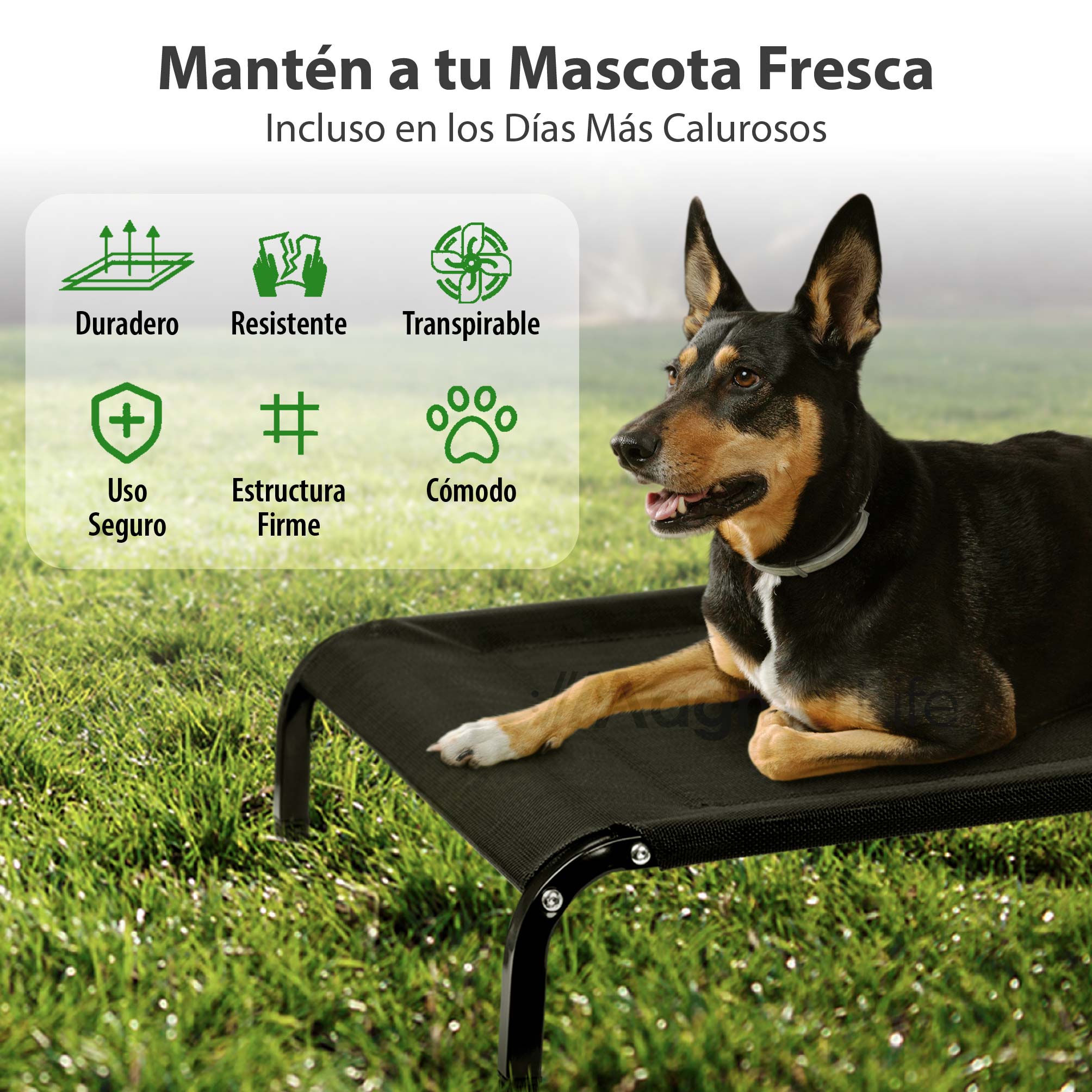 Foto 6 pulgar | Magma Life Cama Para Perro Grande, 109x66x20 Cm, Elevada Y Transpirable, Estructura Metálica Resistente, Superficie