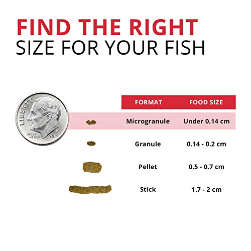 Foto 4 pulgar | Alimento Para Peces Fluval Bug Bites Para Camarones Granulado De 30 Ml A6931 - Venta Internacional.