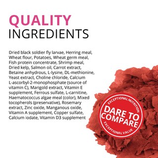 Foto 4 | Alimento Para Peces Fluval Bug Bites Hojuelas Que Realzan El Color 90 Ml A7348 - Venta Internacional.