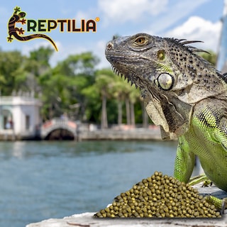 Foto 2 | Reptilia Alimento Para Iguana Juvenil Con 700 Gramos