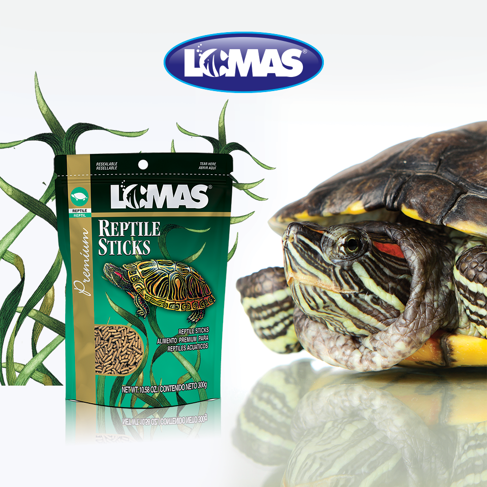 Foto 3 pulgar | Alimento para Tortugas Reptile Sticks Lomas WAT054 300 g
