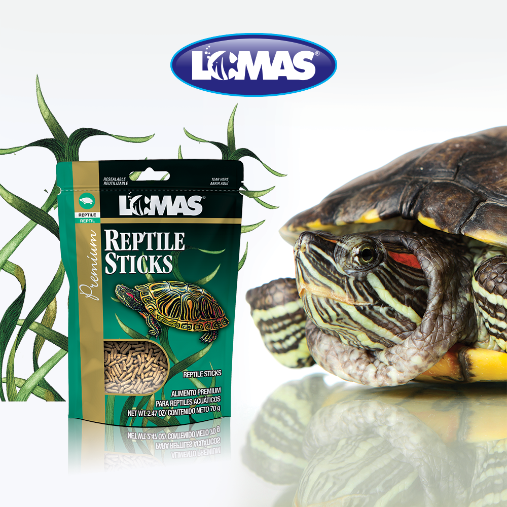Foto 3 pulgar | Alimento para Tortugas Reptile Sticks Lomas WAT052 70 g