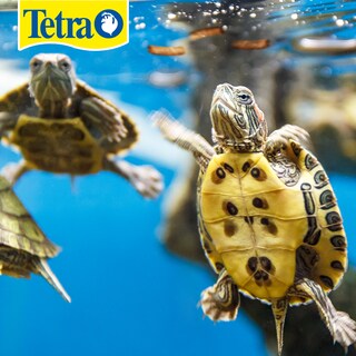Foto 2 | Tetra Reptomin Floating Sticks Alimento Para Tortugas Y Anfibios Con 300 Gramos