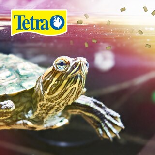 Foto 2 | Tetra Reptomin Pro Alimento Para Tortugas Con 230 Gramos