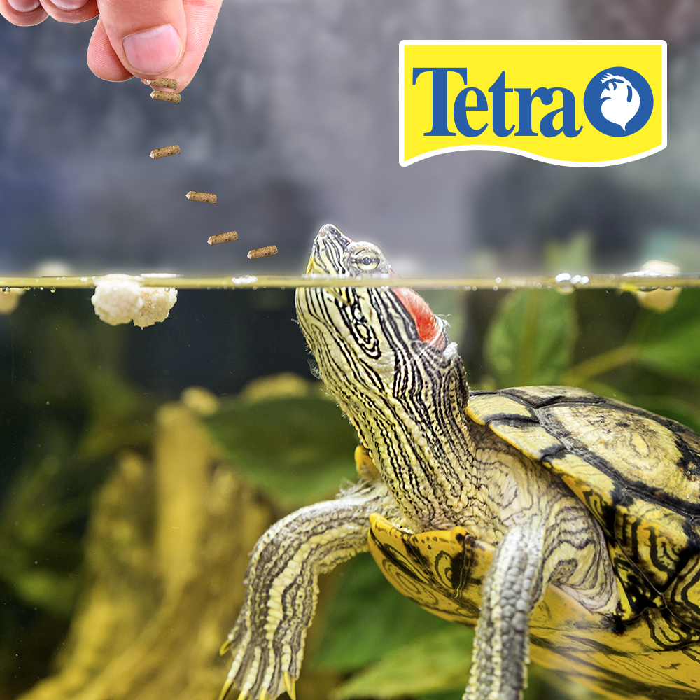 Foto 3 pulgar | Tetra Reptomin Alimento Selecto Para Tortugas Y Anfibios 3 En 1 De Reptomin, Baby Shrimp Y Mini Krill Treats Cont