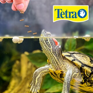 Foto 2 | Tetra Reptomin Alimento Selecto Para Tortugas Y Anfibios 3 En 1 De Reptomin, Baby Shrimp Y Mini Krill Treats Cont