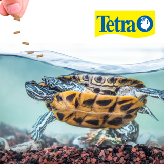 Foto 2 | Tetra Reptomin Alimento Para Tortugas Con 105 Gramos