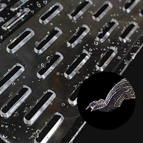 Foto 5 | Plataforma Turtle Basking Ourjob Transparente Para Turtle Tank - Venta Internacional.