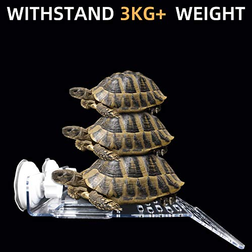 Foto 7 pulgar | Plataforma Turtle Basking Ourjob Transparente Para Turtle Tank - Venta Internacional.